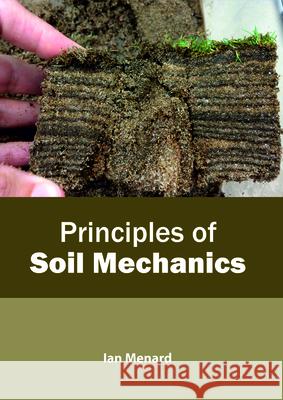 Principles of Soil Mechanics Ian Menard 9781641160025 Callisto Reference - książka