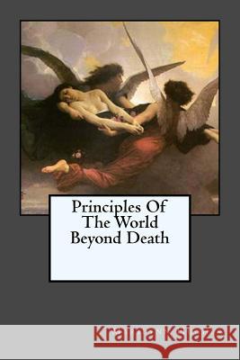 Principles Of The World Beyond Death Hughes, Marilynn 9781440428845 Createspace - książka