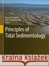 Principles of Tidal Sedimentology Richard A. Davi 9789400701229 Not Avail - książka