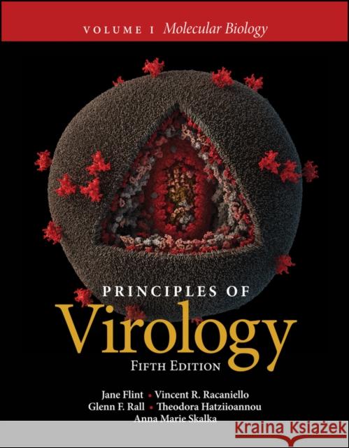 Principles of Virology, Volume 1: Molecular Biology Flint, Jane 9781683672845 ASM Press - książka