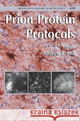 Prion Protein Protocols  9781588298973 Humana Press - książka
