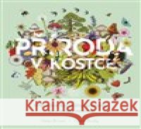 Příroda v kostce Helen Brown 9788027744787 Drobek - książka
