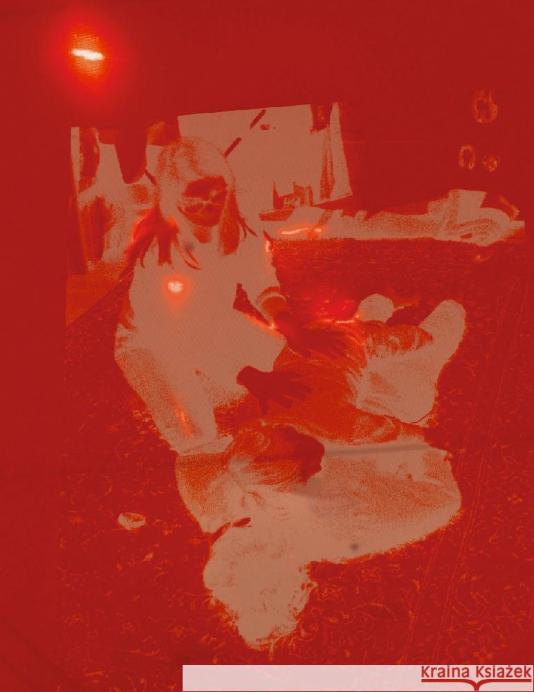 Prisma Altin, Ozlem 9783954766413 Distanz Verlag - książka