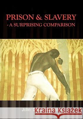 Prison & Slavery - A Surprising Comparison John Dewa 9781432753832 Outskirts Press - książka