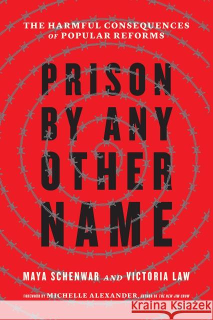 Prison by Any Other Name: The Harmful Consequences of Popular Reforms  9781620973103 New Press - książka