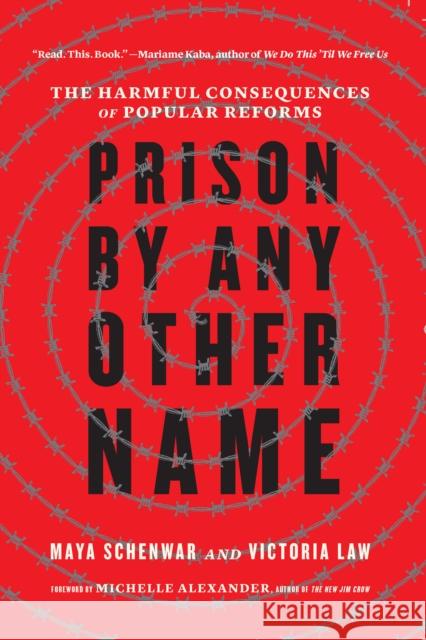 Prison by Any Other Name: The Harmful Consequences of Popular Reforms  9781620976975 New Press - książka