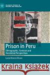 Prison in Peru: Ethnographic, Feminist and Decolonial Perspectives Lucia Bracc 9783030844080 Palgrave MacMillan