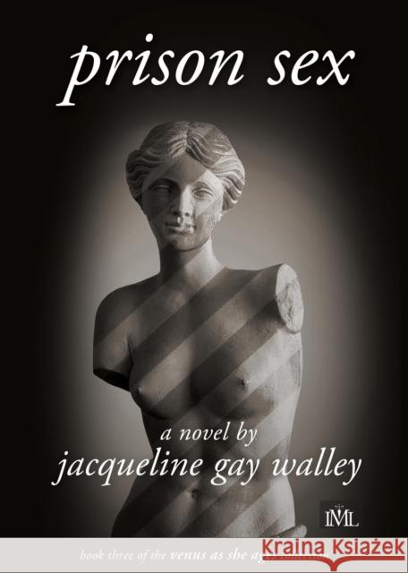 Prison Sex Jacqueline Gay Walley 9781955314077 IML Publications LLC - książka