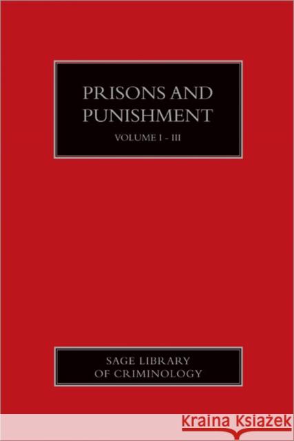 Prisons and Punishment Yvonne (Ed) Jewkes 9781847870230 SAGE PUBLICATIONS - książka