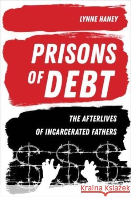 Prisons of Debt: The Afterlives of Incarcerated Fathers Prof. Lynne Haney 9780520297258 University of California Press - książka