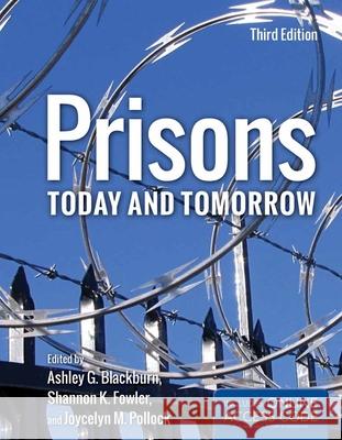 Prisons Today and Tomorrow with Access Code Blackburn, Ashley G. 9781284020212  - książka