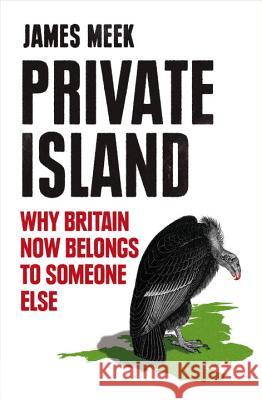Private Island: Why Britain Now Belongs to Someone Else James Meek 9781781682906 Verso - książka