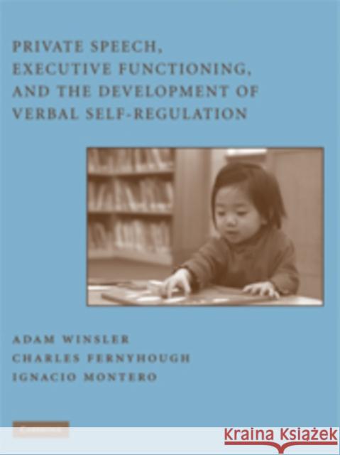 Private Speech, Executive Functioning, and the Development of Verbal Self-Regulation Adam Winsler 9780521866071 Cambridge University Press - książka