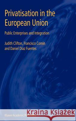 Privatisation in the European Union: Public Enterprises and Integration Clifton, Judith 9781402074813 Springer - książka