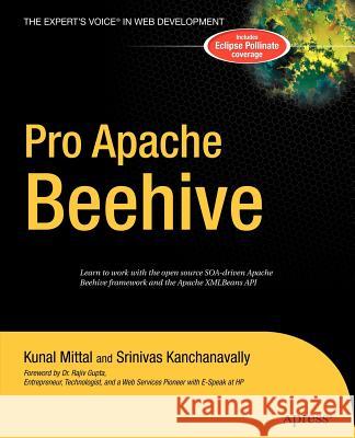 Pro Apache Beehive Kunal Mittal Srinivas Kanchanavally 9781590595152 Apress - książka