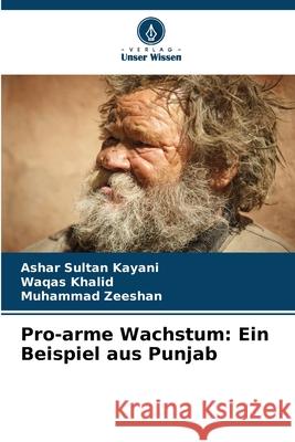 Pro-arme Wachstum: Ein Beispiel aus Punjab Kayani, Ashar Sultan, Khalid, Waqas, Zeeshan, Muhammad 9786200820655 Verlag Unser Wissen - książka