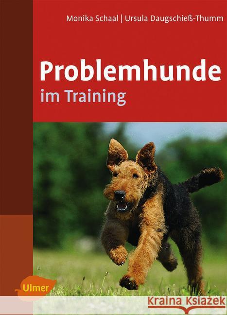 Problemhunde im Training Schaal, Monika; Daugschieß-Thumm, Ursula 9783800159154 Ulmer (Eugen) - książka