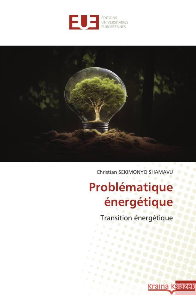 Problématique énergétique SEKIMONYO SHAMAVU, Christian 9786206688815 Éditions universitaires européennes - książka