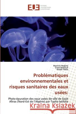 Problématiques environnementales et risques sanitaires des eaux usées Nedjma, Mamine 9786139573813 Éditions universitaires européennes - książka