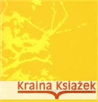 Probouzení Marek Orko Vácha 9788072951130 Cesta - książka