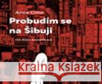 Probudím se na Šibuji Igor Cima 8594072270901 Tympanum - książka