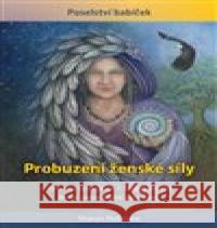 Probuzení ženské síly Sharon McErlane 9788076511217 Fontána - książka