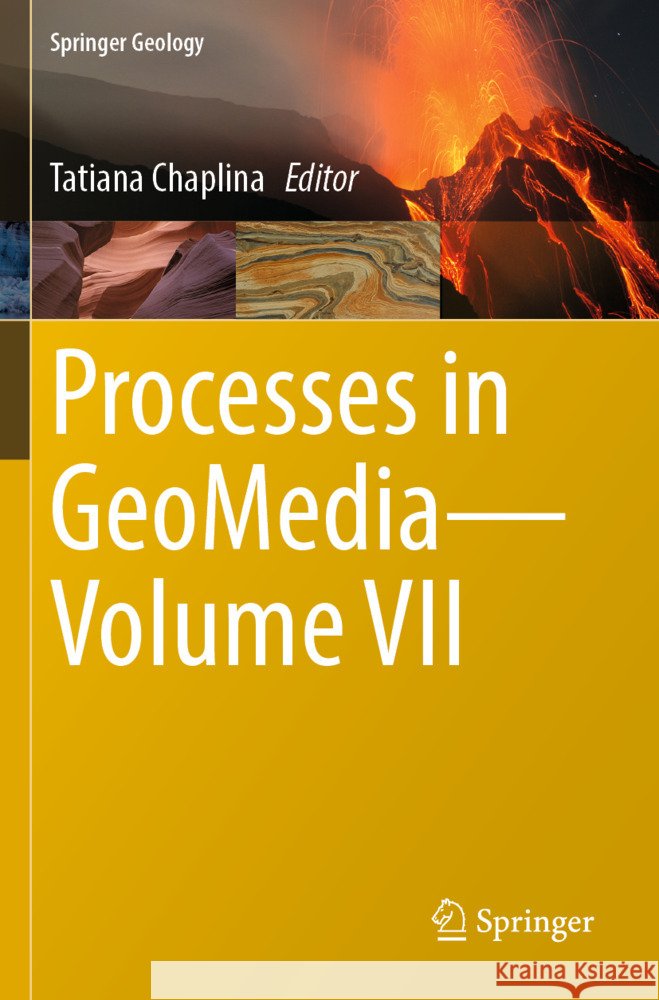 Processes in Geomedia--Volume VII Tatiana Chaplina 9789819965779 Springer - książka