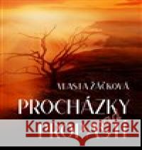 Procházky nad propastí Vlasta Žáčková 9788076440241 Martin Koláček - E-knihy jedou - książka