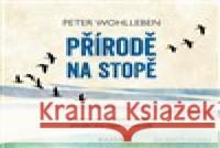 Přírodě na stopě Peter Wohlleben 8594201410130 Nakladatelství Kazda - książka