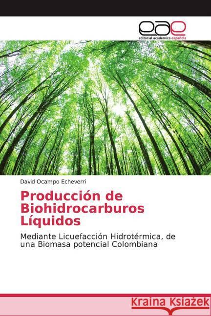 Producción de Biohidrocarburos Líquidos : Mediante Licuefacción Hidrotérmica, de una Biomasa potencial Colombiana Ocampo Echeverri, David 9786139440689 Editorial Académica Española - książka