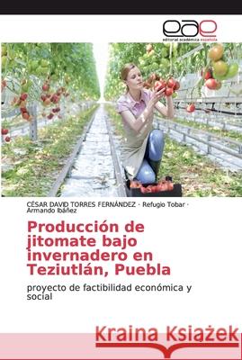 Producción de jitomate bajo invernadero en Teziutlán, Puebla Torres Fernández, César David 9786200026590 Editorial Académica Española - książka