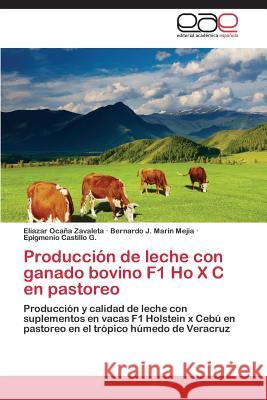 Producción de leche con ganado bovino F1 Ho X C en pastoreo Ocaña Zavaleta Eliazar 9783847369103 Editorial Academica Espanola - książka