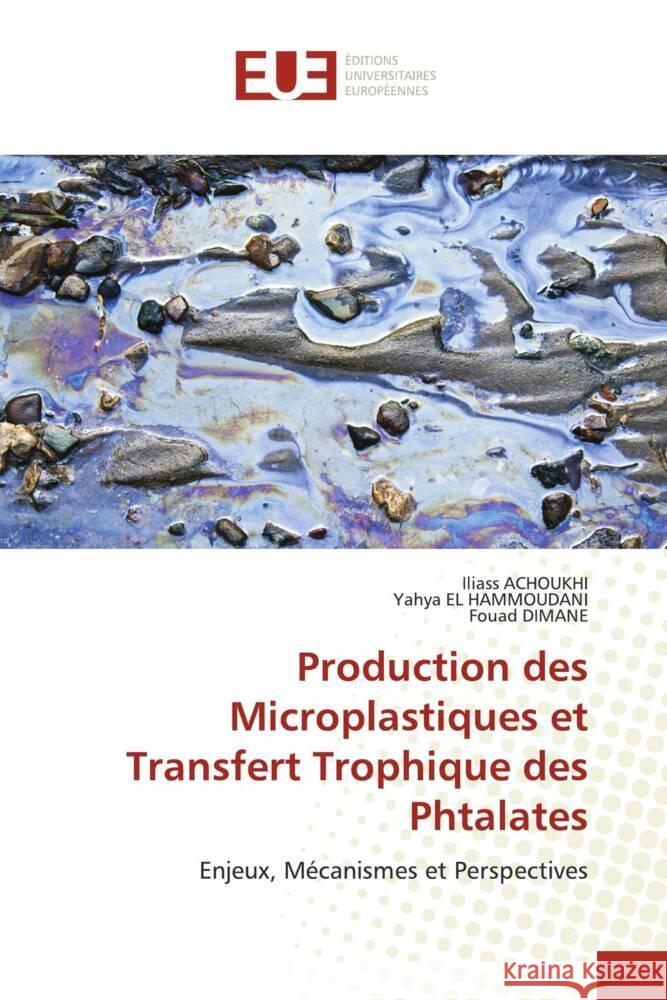 Production des Microplastiques et Transfert Trophique des Phtalates ACHOUKHI, Iliass, El Hammoudani, Yahya, Dimane, Fouad 9786206735175 Éditions universitaires européennes - książka
