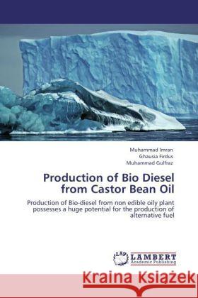 Production of Bio Diesel from Castor Bean Oil Imran, Muhammad, Firdus, Ghausia, Gulfraz, Muhammad 9783846516140 LAP Lambert Academic Publishing - książka