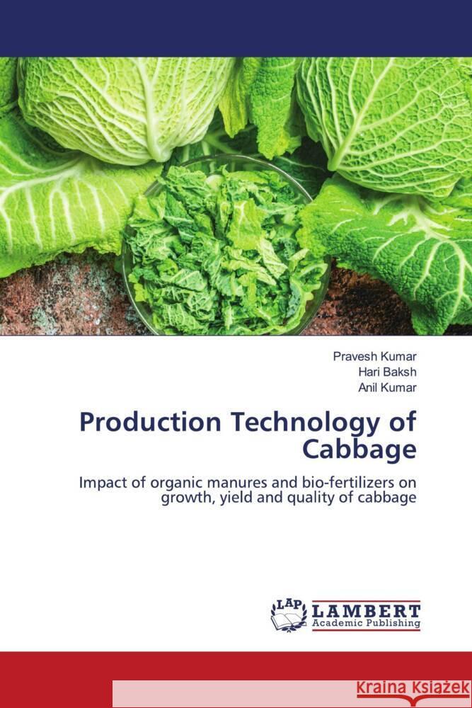 Production Technology of Cabbage Pravesh Kumar Hari Baksh Anil Kumar 9783659934223 LAP Lambert Academic Publishing - książka