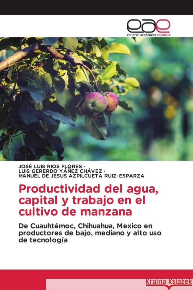 Productividad del agua, capital y trabajo en el cultivo de manzana Ríos Flores, José Luis, YÁÑEZ CHÁVEZ, LUIS GERERDO, RUIZ-ESPARZA, MANUEL DE JESUS AZPILCUETA 9786202150828 Editorial Académica Española - książka