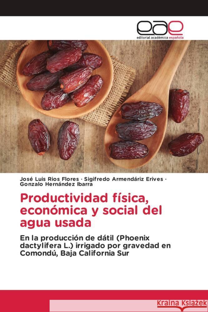 Productividad física, económica y social del agua usada Ríos Flores, José Luis, Armendáriz Erives, Sigifredo, Hernández Ibarra, Gonzalo 9783659652646 Editorial Académica Española - książka