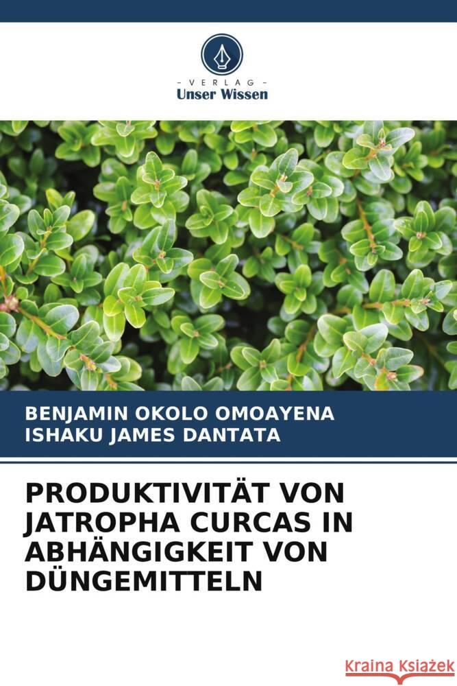 PRODUKTIVITÄT VON JATROPHA CURCAS IN ABHÄNGIGKEIT VON DÜNGEMITTELN Okolo Omoayena, Benjamin, James Dantata, Ishaku 9786205017357 Verlag Unser Wissen - książka