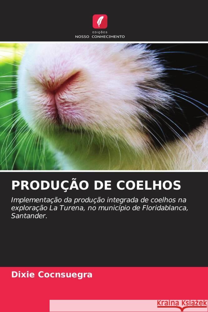 Produ??o de Coelhos Dixie Cocnsuegra 9786207445110 Edicoes Nosso Conhecimento - książka