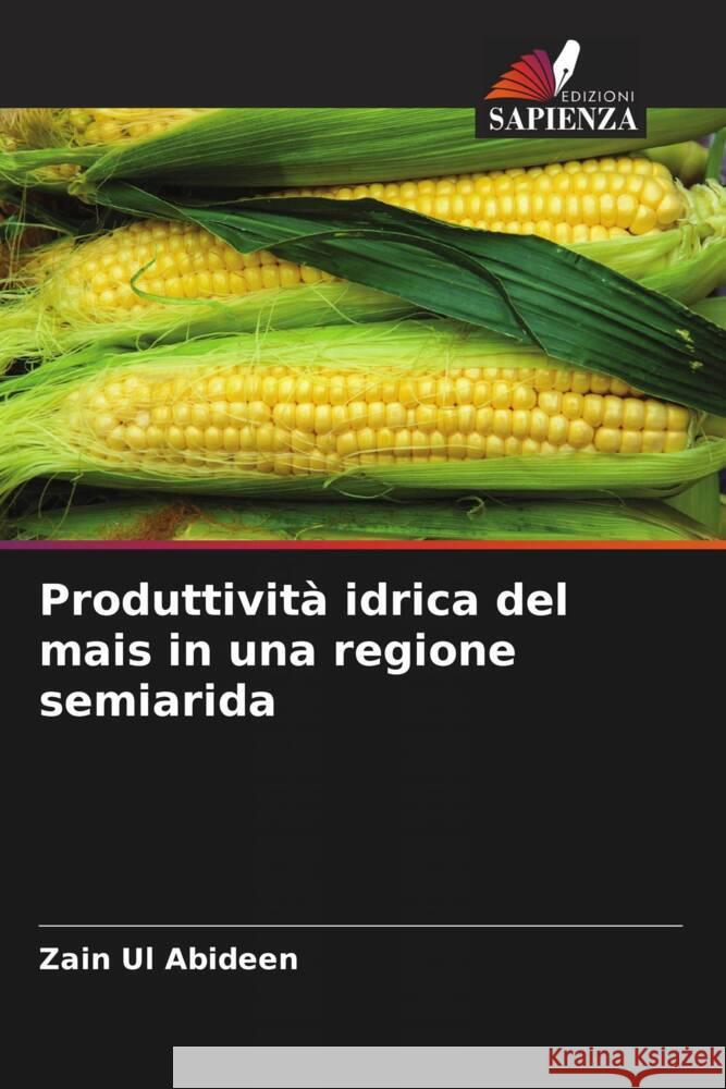 Produttività idrica del mais in una regione semiarida Abideen, Zain Ul 9786205128817 Edizioni Sapienza - książka