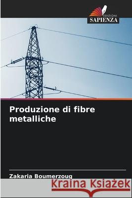 Produzione di fibre metalliche Boumerzoug, Zakaria 9786208776077 Edizioni Sapienza - książka