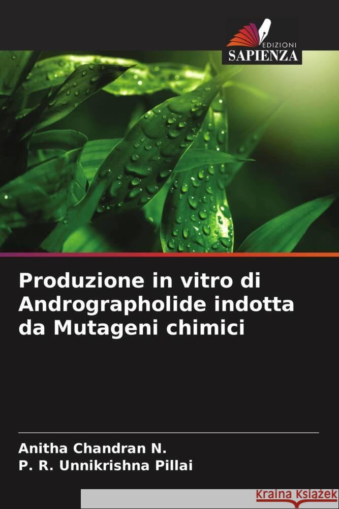 Produzione in vitro di Andrographolide indotta da Mutageni chimici Chandran N., Anitha, Pillai, P. R. Unnikrishna 9786205530191 Edizioni Sapienza - książka