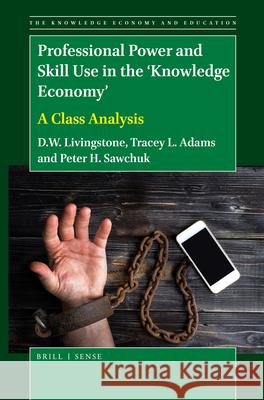Professional Power and Skill Use in the 'Knowledge Economy': A Class Analysis D.W. Livingstone, Tracey L. Adams, Peter Sawchuk 9789004463059 Brill - książka