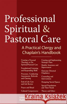 Professional Spiritual & Pastoral Care: A Practical Clergy and Chaplain's Handbook Stephen B Roberts 9781594733123  - książka