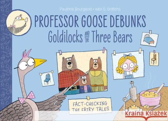 Professor Goose Debunks Goldilocks and the Three Bears Paulette Bourgeois 9781915395023 Barrington Stoke Ltd - książka