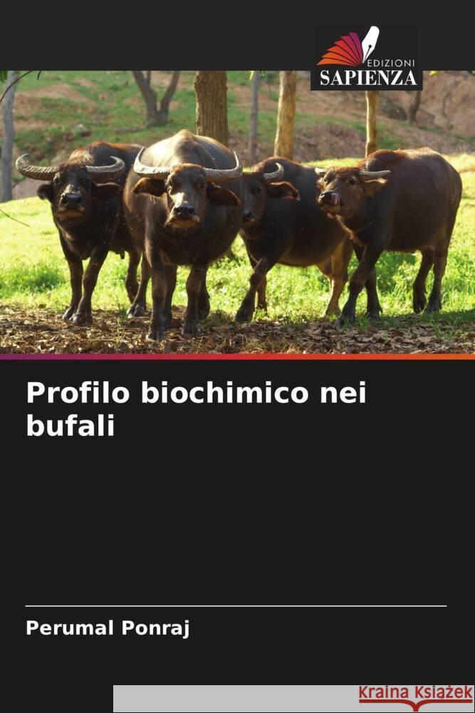 Profilo biochimico nei bufali Ponraj, Perumal 9786204993829 Edizioni Sapienza - książka