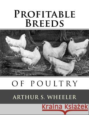 Profitable Breeds of Poultry Arthur S. Wheeler Jackson Chambers 9781548265090 Createspace Independent Publishing Platform - książka