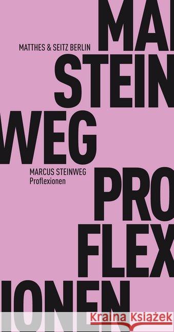 Proflexionen Steinweg, Marcus 9783957576361 Matthes & Seitz Berlin - książka