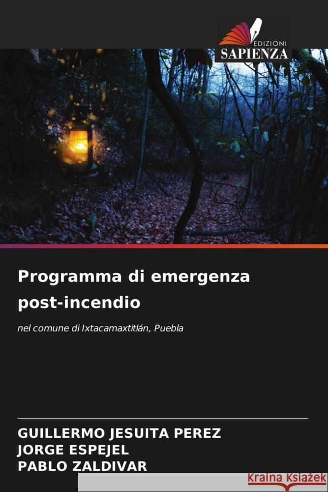 Programma di emergenza post-incendio Perez, Guillermo Jesuita, Espejel, Jorge, Zaldivar, Pablo 9786205133828 Edizioni Sapienza - książka