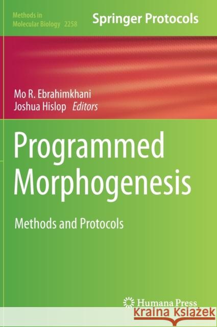 Programmed Morphogenesis: Methods and Protocols Mo R. Ebrahimkhani Joshua Hislop 9781071611739 Humana - książka